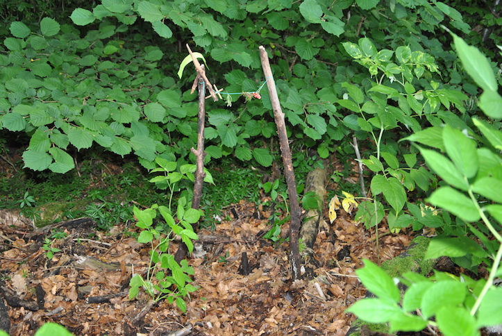 Catéchisme | Camp de catéchisme, 2014